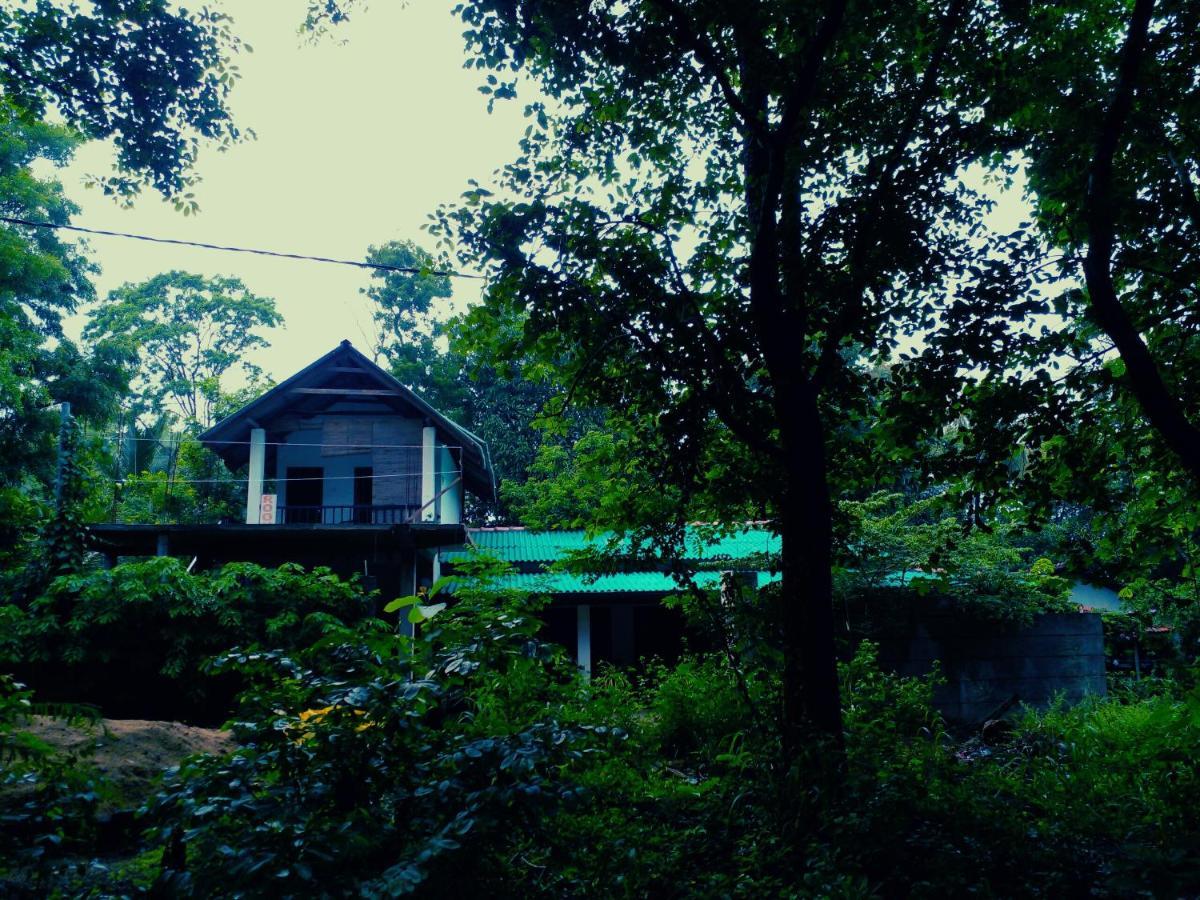 Habarana Dulwan Guest House エクステリア 写真