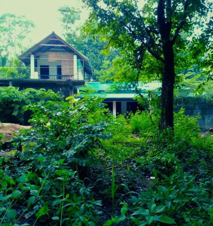 Habarana Dulwan Guest House エクステリア 写真