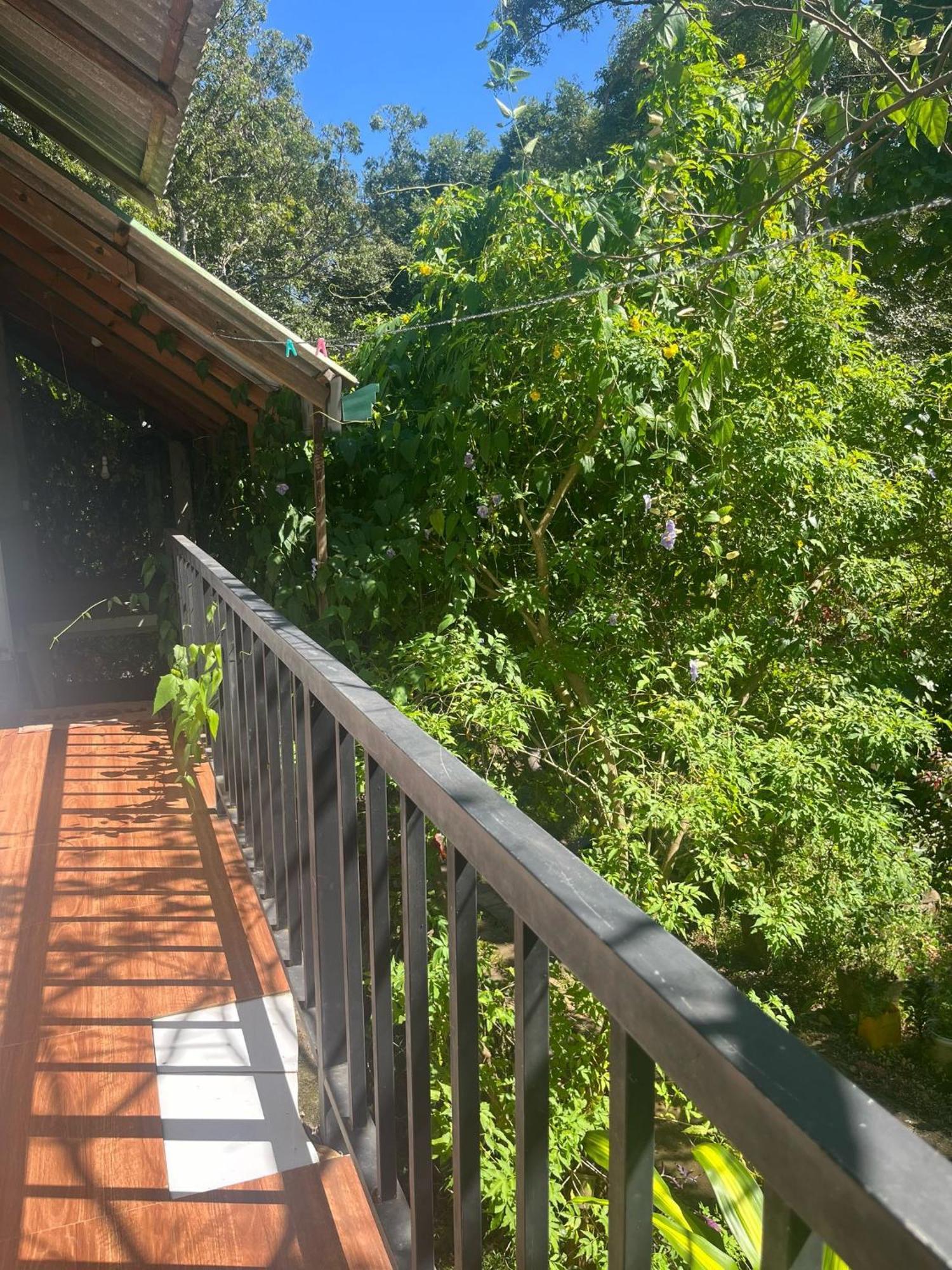 Habarana Dulwan Guest House 部屋 写真