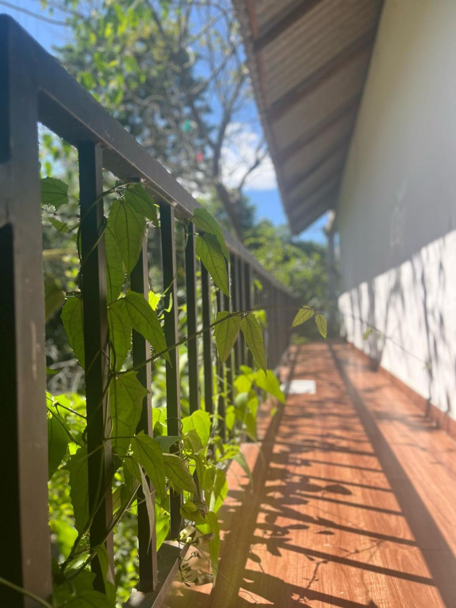 Habarana Dulwan Guest House 部屋 写真